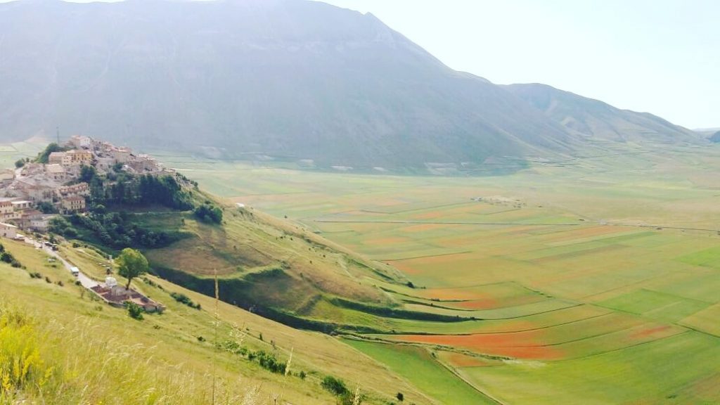 Fioritura di Castelluccio di Norcia