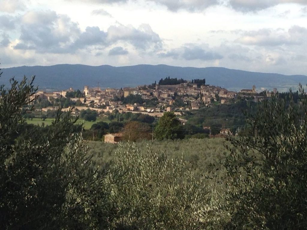 Il Turismo Enogastronomico e dell'Olio di Oliva